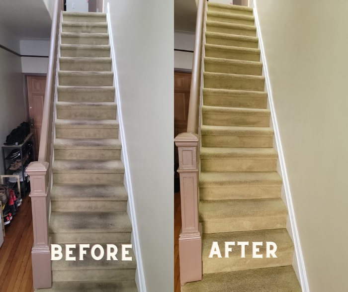 Limpiador de alfombras ecológico